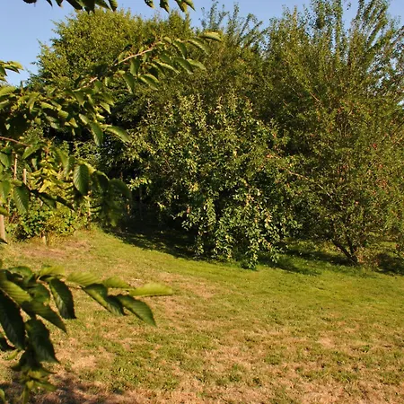 La Source Du Broly Soumagne