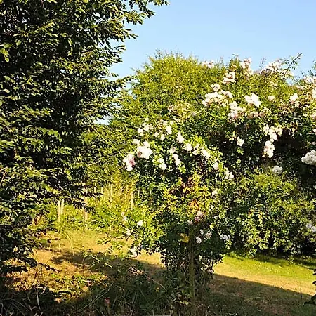 La Source Du Broly Bed & Breakfast Soumagne